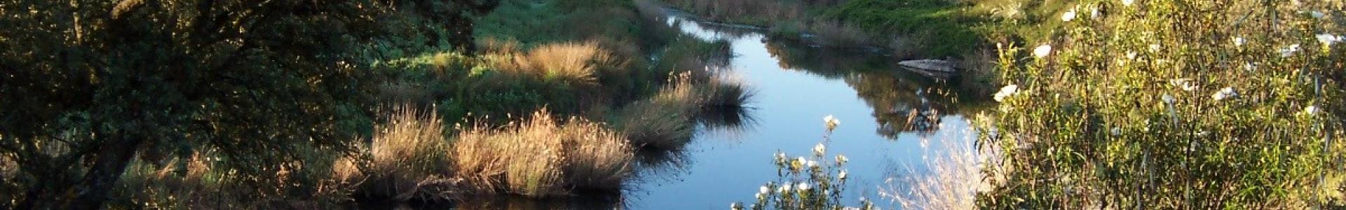 imagen de paisaje en Peralvillo