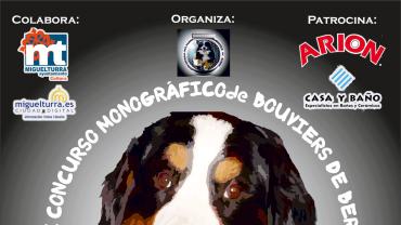 agenda imagen cartel exhibición Boyeros Berna 2013