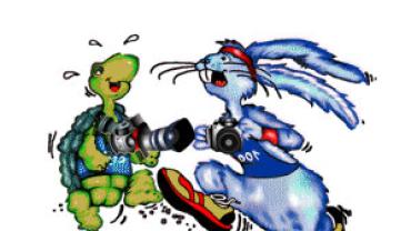 imagen sobre anuncio concurso fotográfico maratón