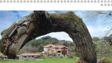 turismo rural, encanto natural