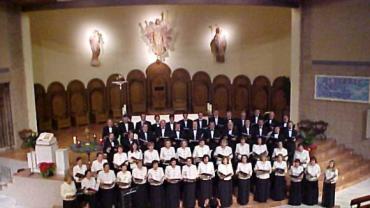 imagen de la Coral Silíceo de Toledo