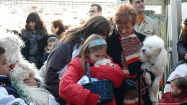 imagen de la Procesión de San Antón de 2009