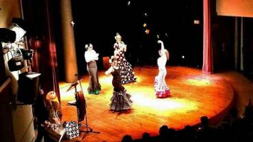 Imagen de una actuación en la gala diciembre 2013.