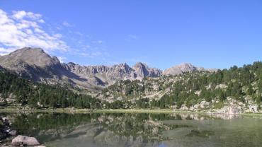 Imagen Los Alpes 2006