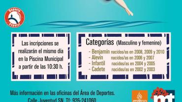 imagen del cartel del Campeonato de Natación de Ferias 2017 Miguelturra, diseño Centro de Internet