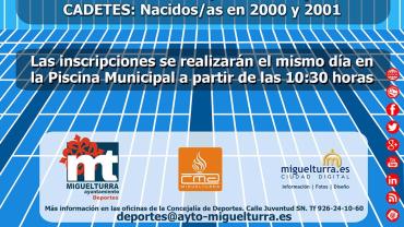imagen del cartel del Trofeo de Natación Ferias y Fiestas 2015 Miguelturra