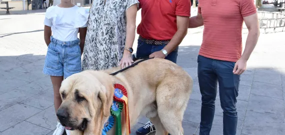 imagen del mastín ganador, autoridades y dueño, julio 2022