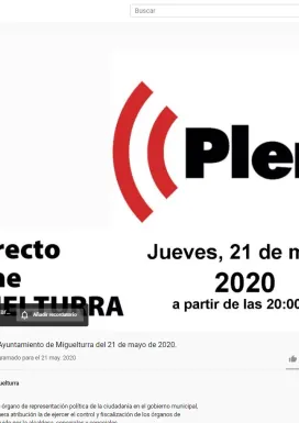 evento imagen captura pantalla previo al Pleno Extraordinario del 21 de mayo de 2020