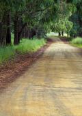 curso imagen de un camino por el campo
