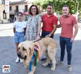 imagen del mastín ganador, autoridades y dueño, julio 2022