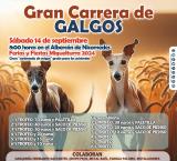 noticia_carrera_galgos_ferias_2024
